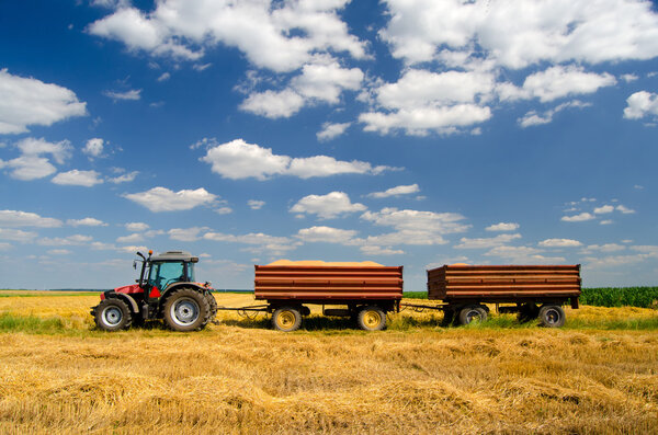 Modern tractor on the agricultural field