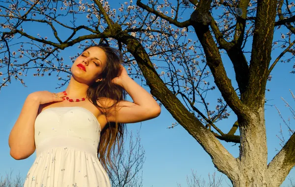 Senhora elegante bonita na natureza — Fotografia de Stock