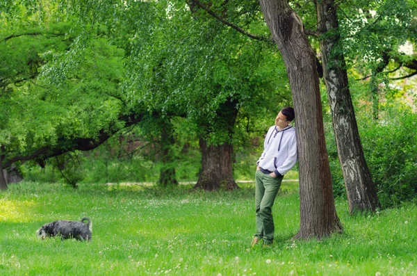 Человек с собакой, гуляющей по лесу — стоковое фото