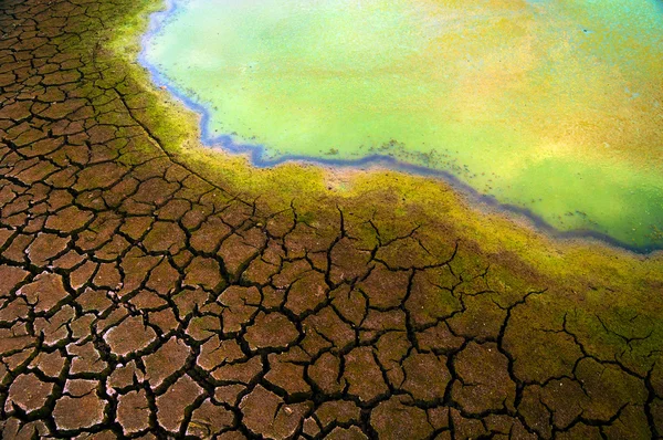Förorenat vatten och sprucken jord — Stockfoto