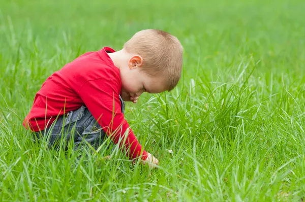 Söt liten pojke att utforska naturen — Stockfoto