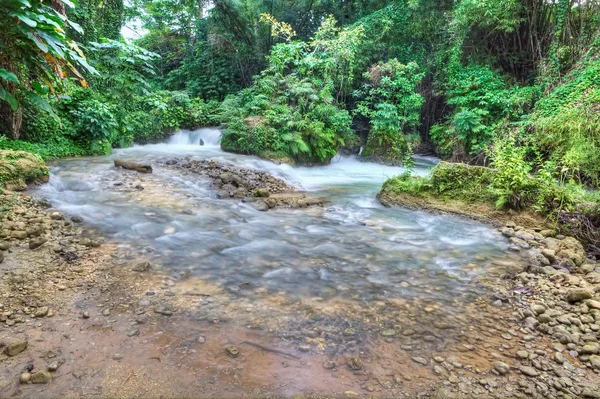 Beautiful river in Jamaica — Stock Photo, Image