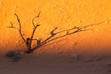 Sunset dead vlei, Namibya