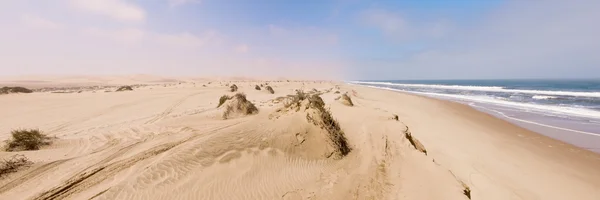 Plage proche de Sandwich Harbour en Namibie — Photo