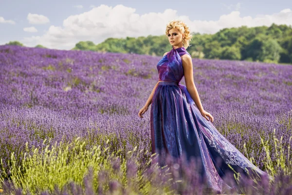 Beautiful woman in lavender fields — Stock Photo, Image