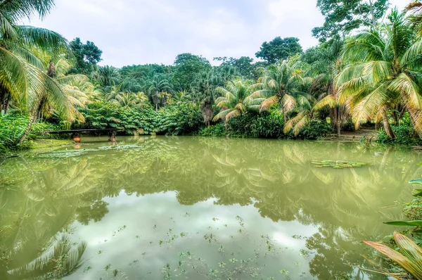 Beautiful tropical lake — Stock Photo, Image