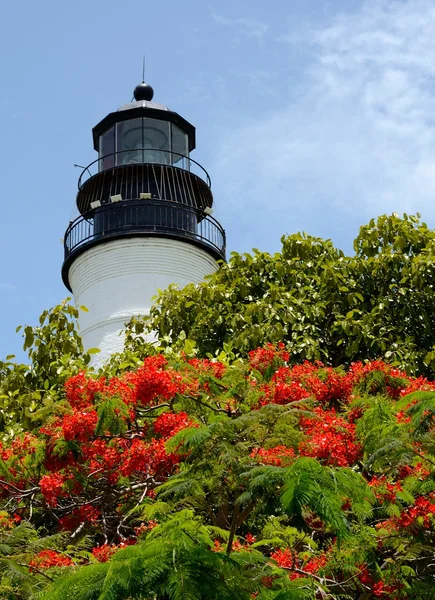 Key west vuurtoren — Stockfoto