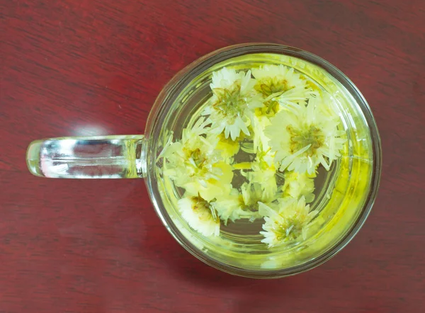 Tè al crisantemo — Foto Stock