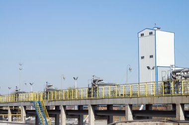 Boru Hattı