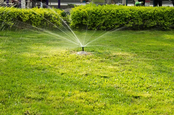 Irrigazione del prato — Foto Stock