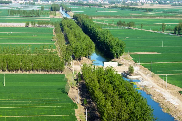 Paisagem fluvial pitoresca — Fotografia de Stock