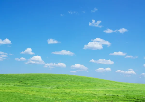Trawnik niebo — Zdjęcie stockowe