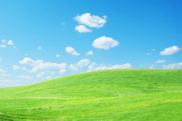 Niebo trawa — Zdjęcie stockowe