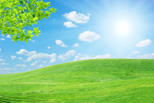 Sun lawn — Stock Photo, Image