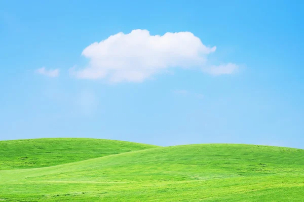 Grass sky — Stock Photo, Image