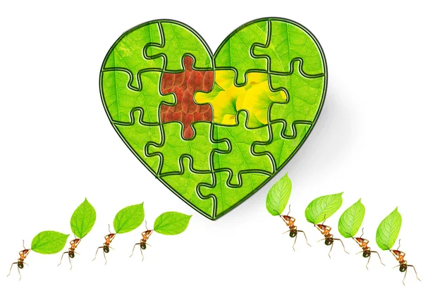 Ant puzzle — Stock Photo, Image