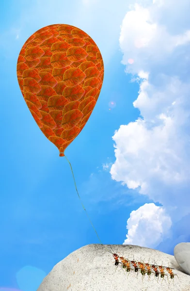 Ameisen und Luftballons — Stockfoto