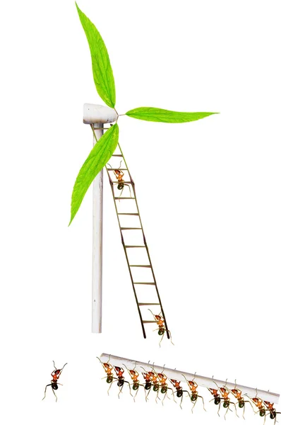 Ants build windmills — Stock Photo, Image