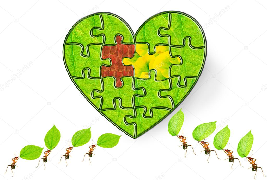 Ant puzzle