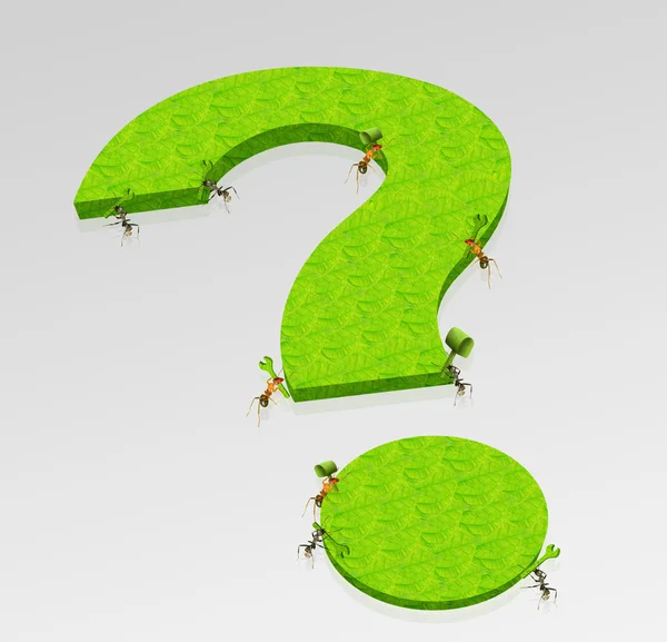 Ants question — Stock Photo, Image
