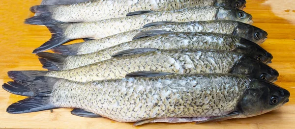 Fresh grass carp — Stock Photo, Image