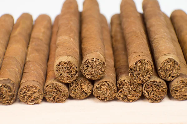 Cigar — Stock Photo, Image