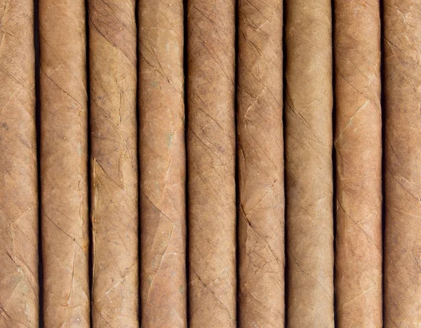 Cigar — Stock Photo, Image