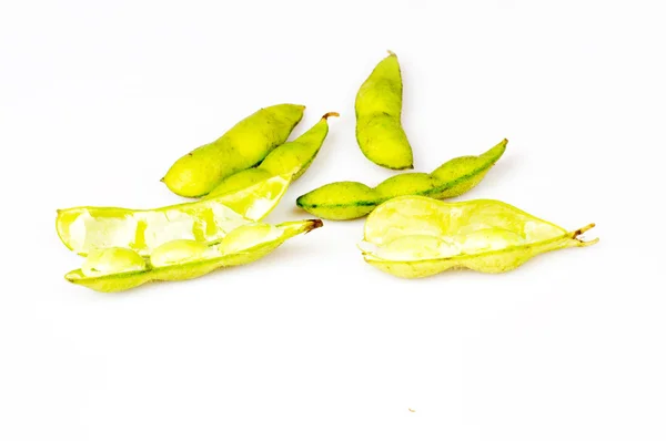 Soybean pod — Stock Photo, Image