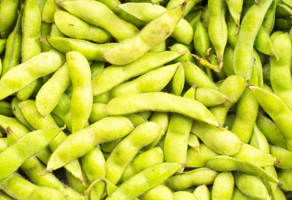 Soybean pod — Stock Photo, Image