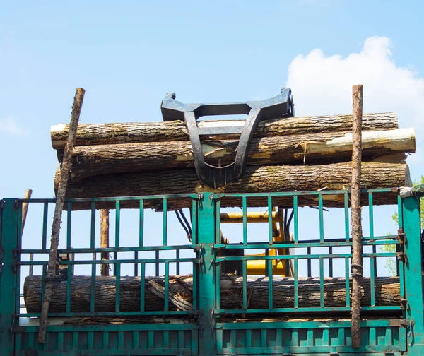 Transport drewna — Zdjęcie stockowe