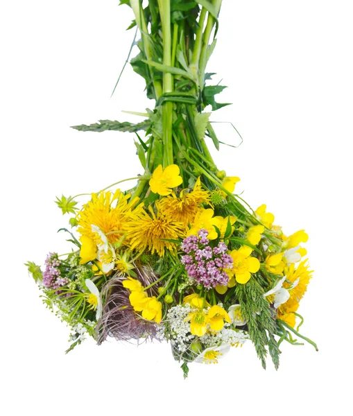 Kleurrijke wilde bloemen — Stockfoto
