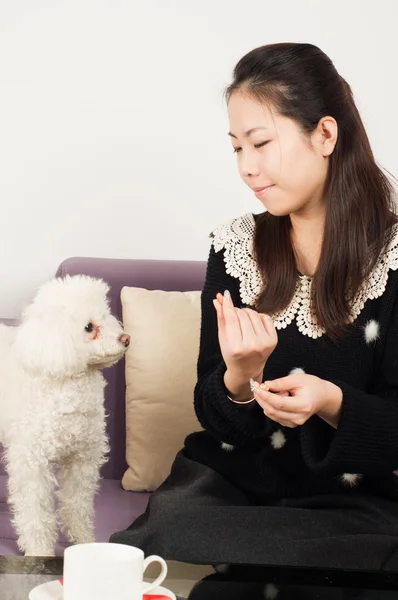 Vrouwen en poedel — Stockfoto