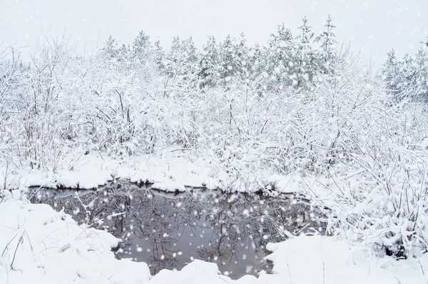 Nieva — Foto de Stock