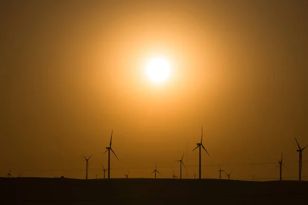 Windkraftanlagen Goldenen Sonnenschein Des Landes — Stockfoto