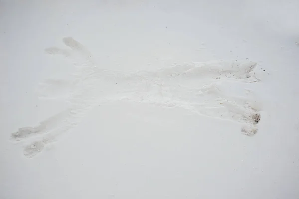 男人把他的影子留在雪地里 — 图库照片