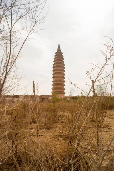 Pagoda Fue Construida Durante Dinastía Xixia Provincia Ningxia China — Foto de Stock