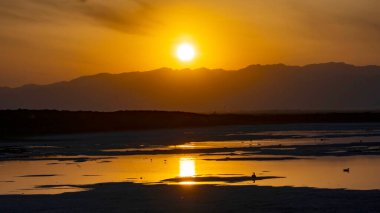Yorgun kuş akşam yuvasına döner.