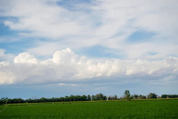 Αγροτική Είναι Κάτω Από Τον Γαλάζιο Ουρανό Και Άσπρα Σύννεφα — Φωτογραφία Αρχείου