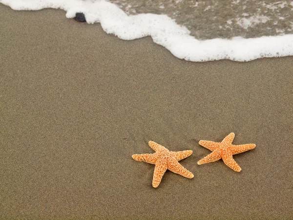 Dos estrellas de mar en la costa con olas — Foto de Stock