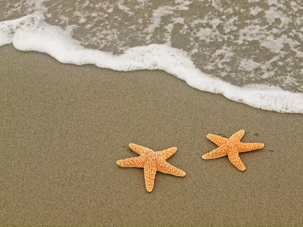 Dos estrellas de mar en la costa con olas — Foto de Stock