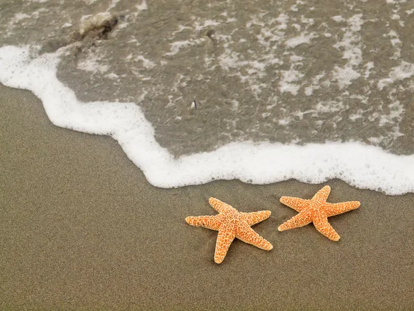 Two Starfish on the Shoreline with Waves — Stock Photo, Image