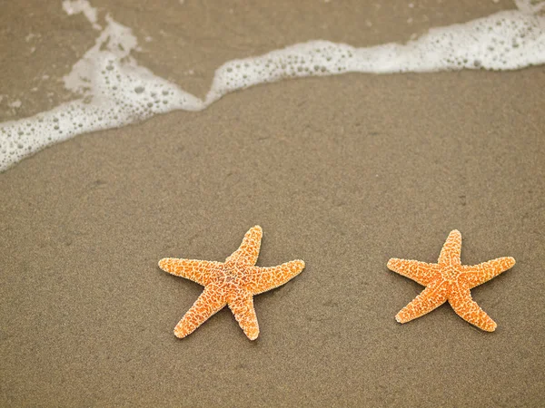 Two Starfish on the Shoreline with Waves — Stock Photo, Image