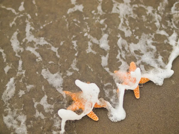 Duas estrelas do mar na costa com ondas — Fotografia de Stock