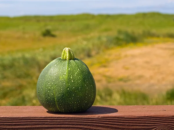 Courgette buiten op een houten dek rail in volle zon — Stockfoto