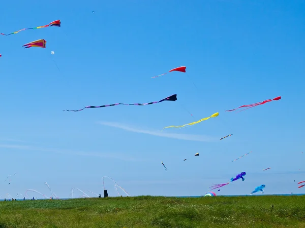 Diverse kleurrijke vliegers vliegen in een heldere blauwe lucht — Stockfoto
