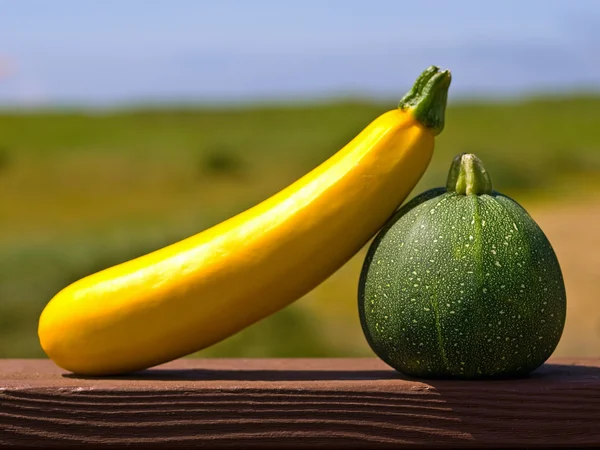 Zucchini utanför på ett trädäck järnväg i full solsken — Stockfoto