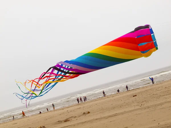 Arcobaleno colorato tubo aquilone volare in una giornata nuvolosa in spiaggia — Foto Stock