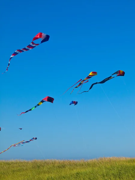 Vários papagaios coloridos voando em um céu azul brilhante — Fotografia de Stock