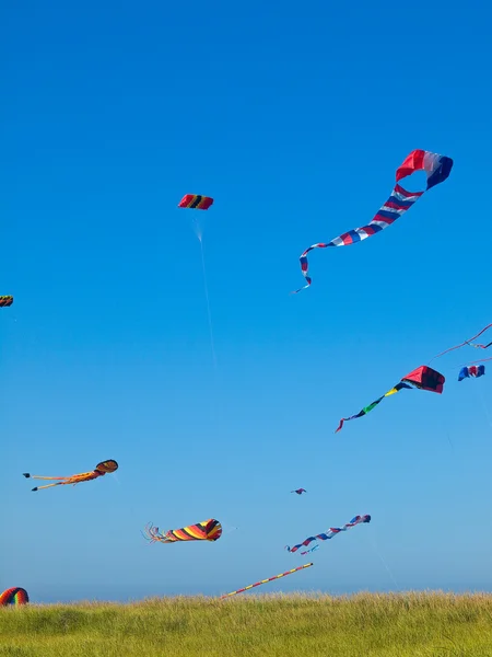 Vários papagaios coloridos voando em um céu azul brilhante — Fotografia de Stock