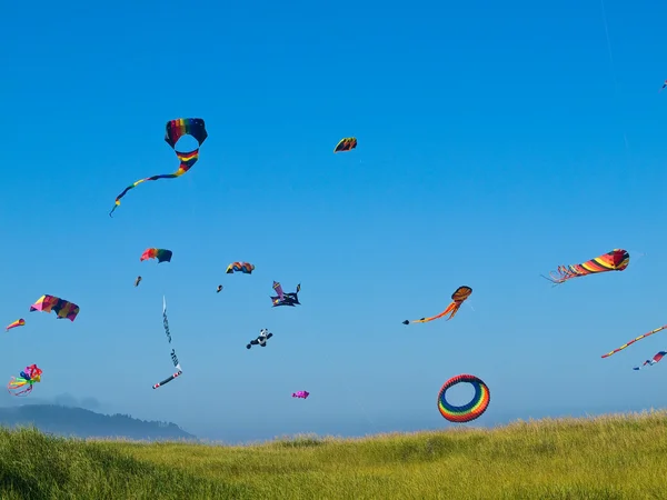 Diverse kleurrijke vliegers vliegen in een heldere blauwe lucht — Stockfoto